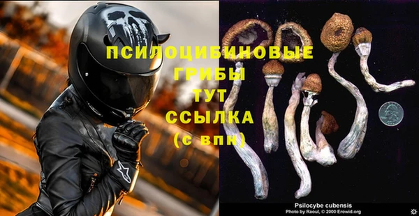 МДПВ Медногорск