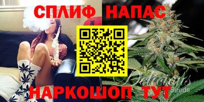 гашик Балашиха