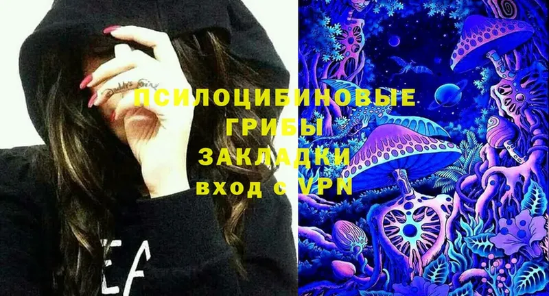 Псилоцибиновые грибы Psilocybe  ОМГ ОМГ маркетплейс  Мытищи  как найти закладки 