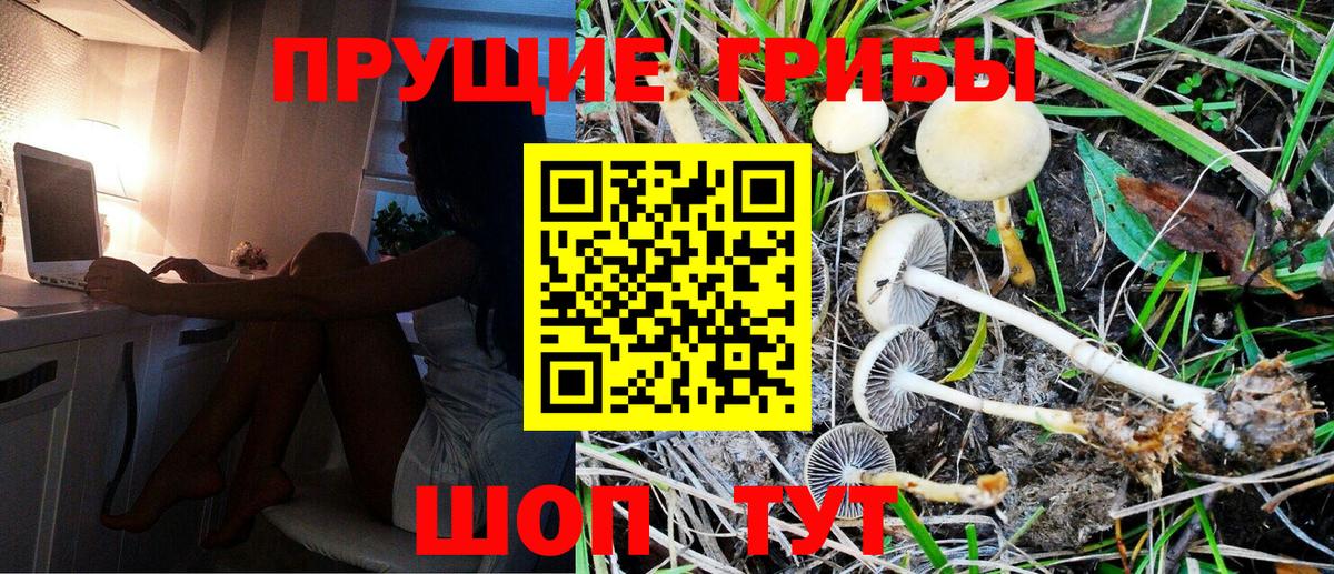 закладки  Вход с VPN  Мытищи  Псилоцибиновые грибы Magic Shrooms 