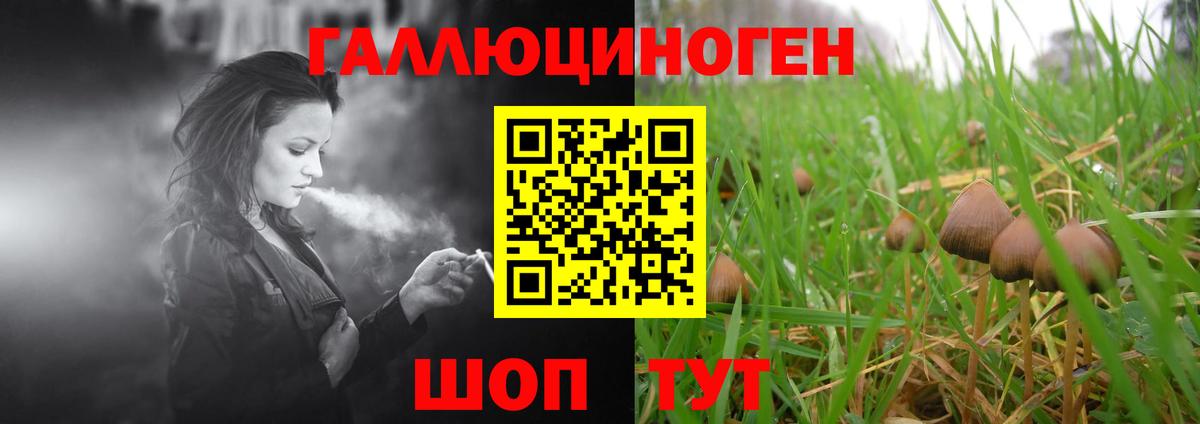 Галлюциногенные грибы MAGIC MUSHROOMS  Галлюциногенные грибы Magic Shrooms  Мытищи 